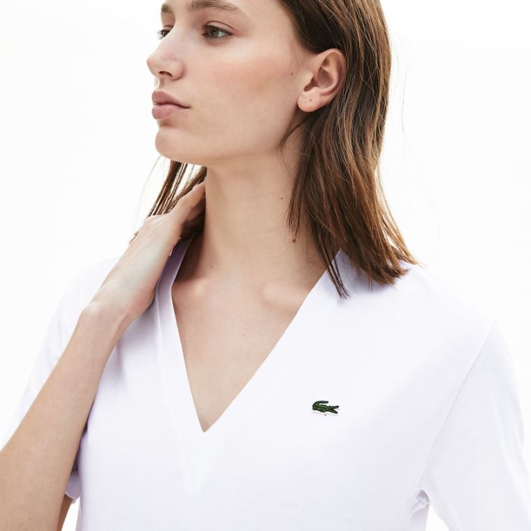 Lacoste V-Neck Premium Bomulds T-shirt Hvide | 3EdK1iXi