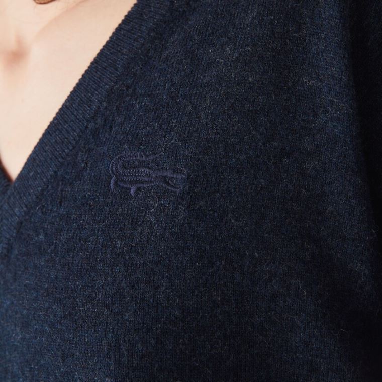 Lacoste V-neck Wool Sweater Blå | oFygdf32