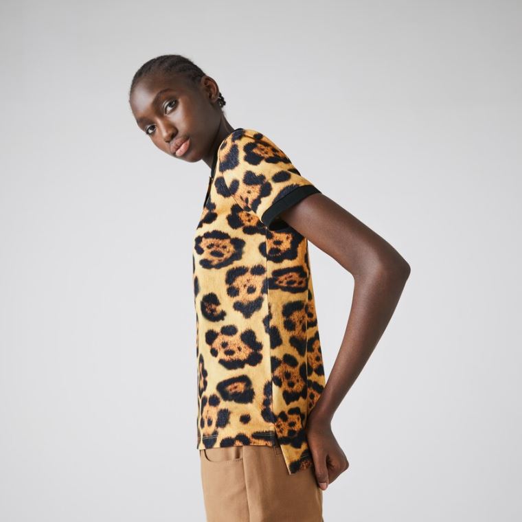 Lacoste x National Geographic Animal Print Piqué Polo Shirt Hvide | GVDPEtvb