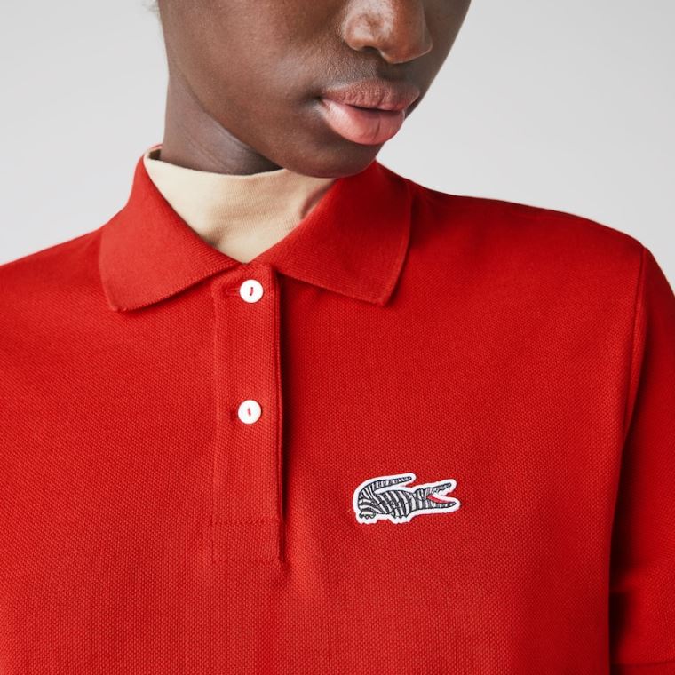 Lacoste x National Geographic Bomulds Piqué Polo Shirt Kjole Rød Hvide | LDNlHmV4