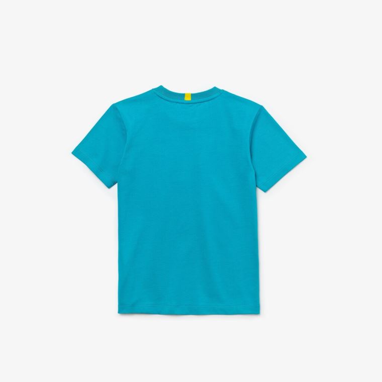 Lacoste x National Geographic Bomulds T-shirt Blå Hvide | TD3l7MAK