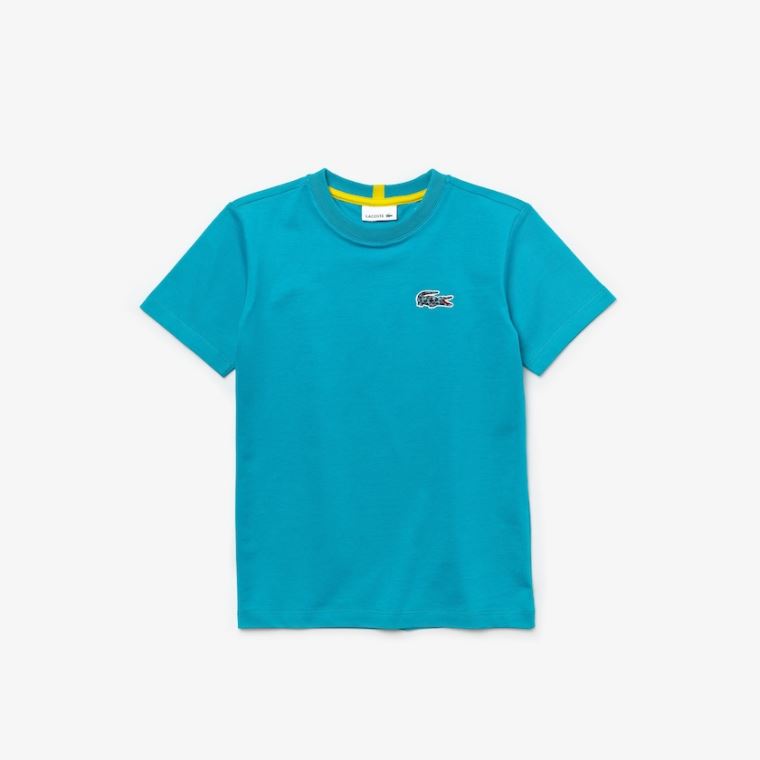 Lacoste x National Geographic Bomulds T-shirt Blå Hvide | TD3l7MAK