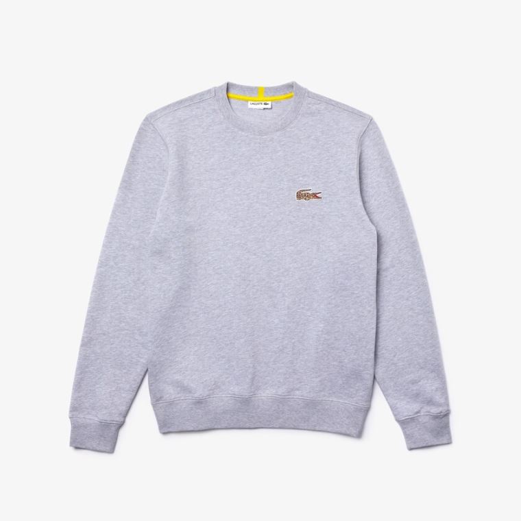 Lacoste x National Geographic Organic Bomulds Sweatshirt Grå Hvide | 8HJlB4OF