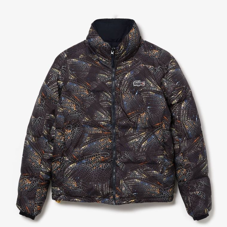 Lacoste x National Geographic Print Quilted Jacket Hvide Mørkeblå Blå | QS2Ls4O7