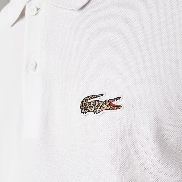 Lacoste x National Geographic Regular Fit Organic Bomulds Polo Shirt Hvide | 3moEFdxx