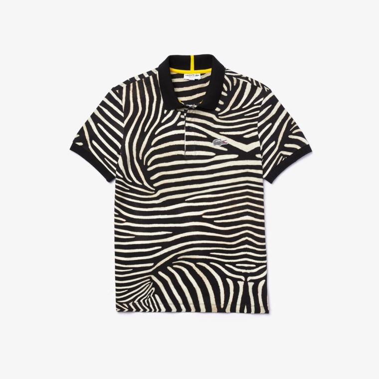 Lacoste x National Geographic Regular Fit Print Bomulds Polo Shirt Orange Mørkeblå Blå | Uv9VTsvD