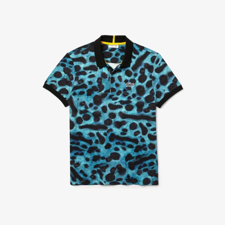 Lacoste x National Geographic Regular Fit Print Bomulds Polo Shirt Grøn Hvide | gvdial3t