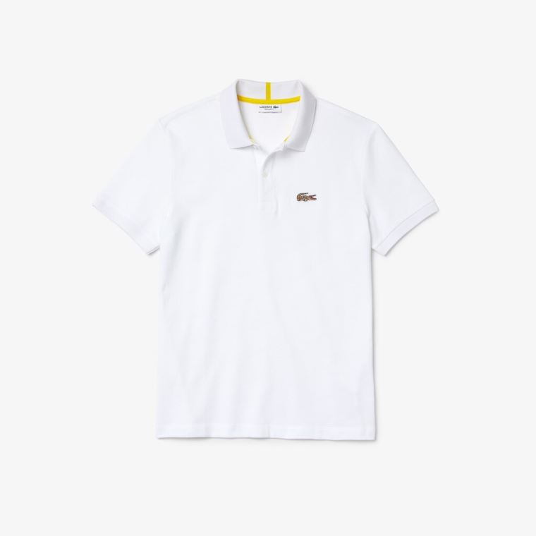 Lacoste x National Geographic Regular Fit Organic Bomulds Polo Shirt Hvide | n86kP68U