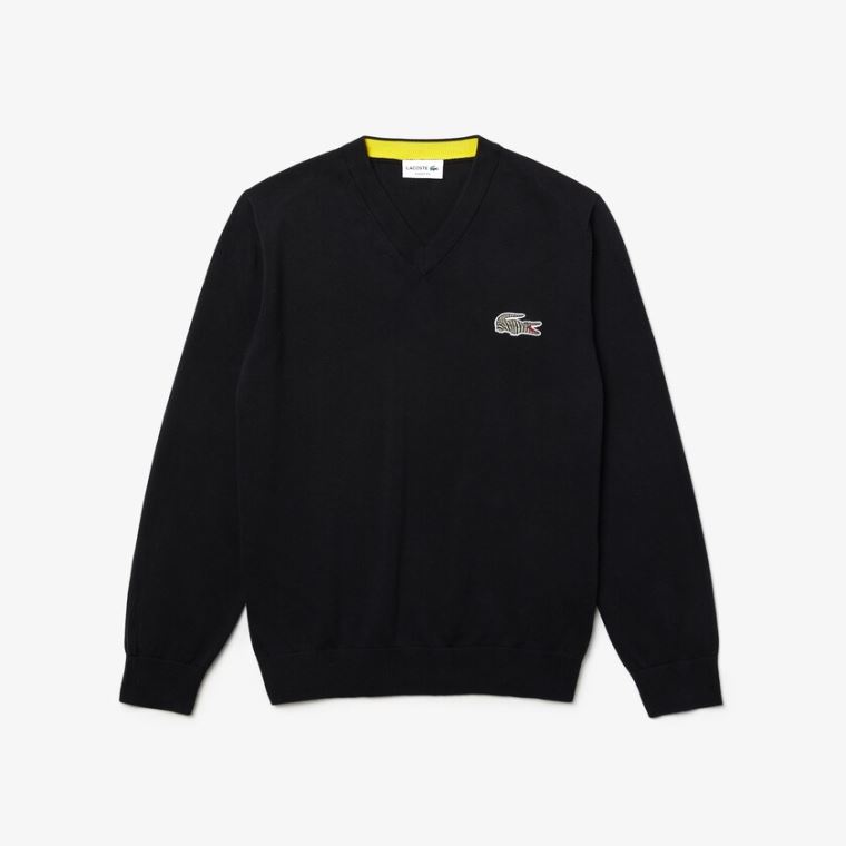 Lacoste x National Geographic V-neck Bomulds Sweater Mørkeblå Blå Hvide | Krz32ZKZ