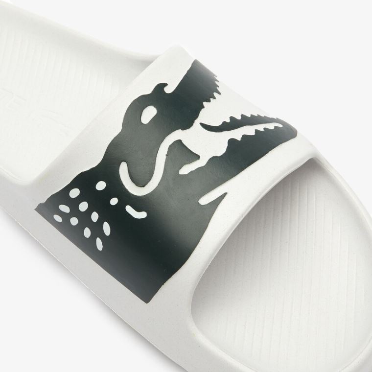 Lacoste x Ricky Regal Syntetisk Crocodile Slides Hvide Grøn | VLHpjnWT