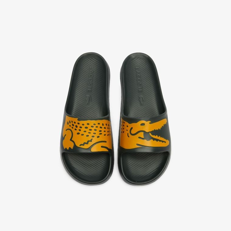 Lacoste x Ricky Regal Syntetisk Crocodile Slides Mørkegrøn Gul | cbBQcGEs